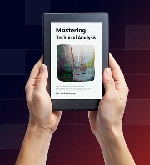 Investment Education